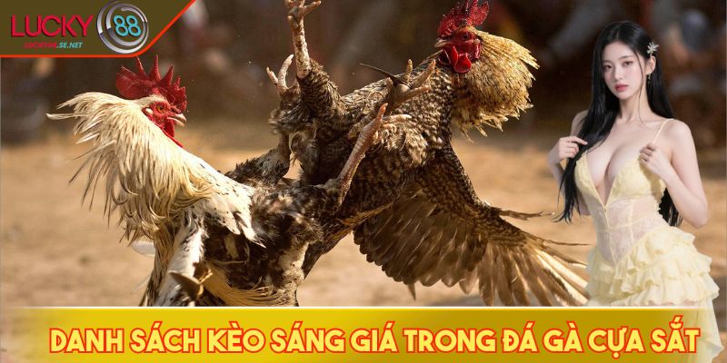 Danh sách kèo sáng giá trong đá gà cựa sắt