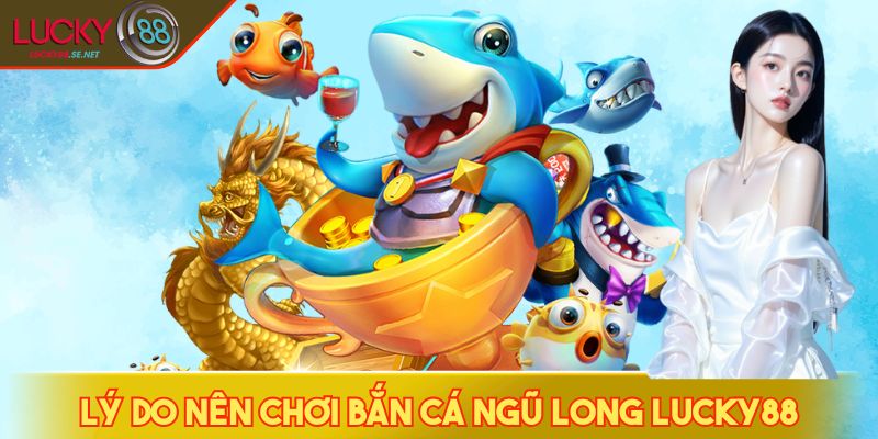 Lý do nên chơi bắn cá Ngũ Long LUCKY88